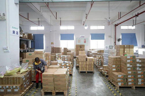 家門口的機遇 賓陽電子廠招工，提供食宿，探索互聯網銷售新方向